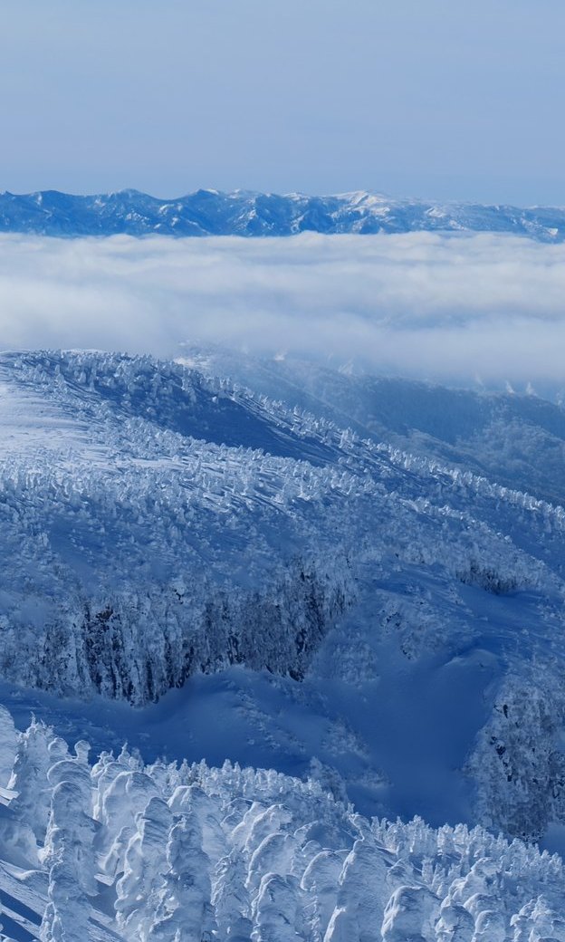藏王樹冰・雲海之上的藍調雪原遠景