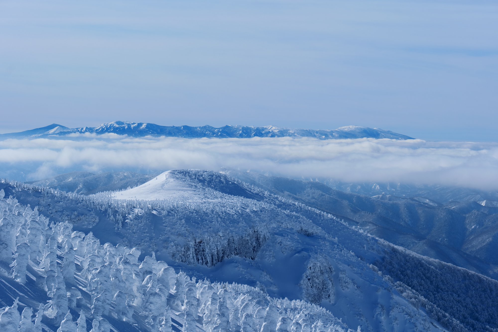 藏王樹冰・雲海之上的藍調雪原遠景